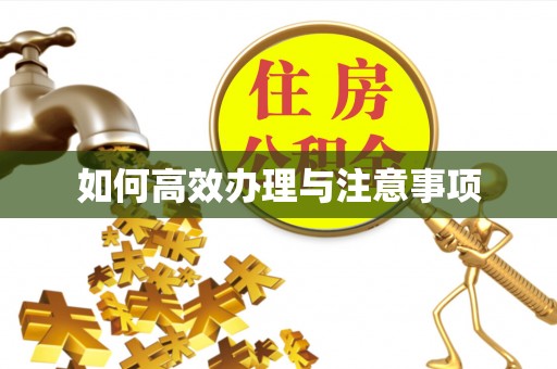 连江如何高效办理与注意事项
