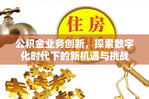 连江公积金业务创新，探索数字化时代下的新机遇与挑战