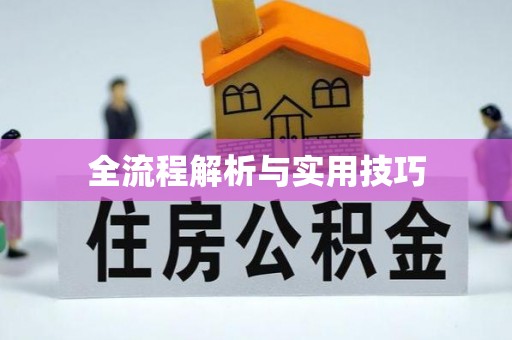 连江全流程解析与实用技巧
