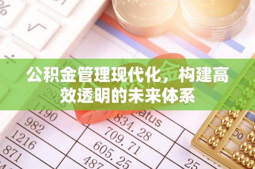 连江公积金管理现代化，构建高效透明的未来体系