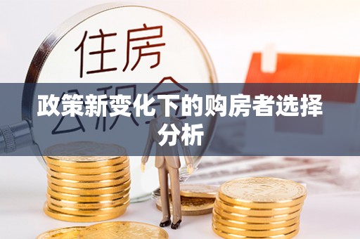 连江政策新变化下的购房者选择分析