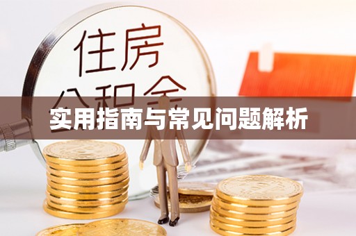 连江实用指南与常见问题解析