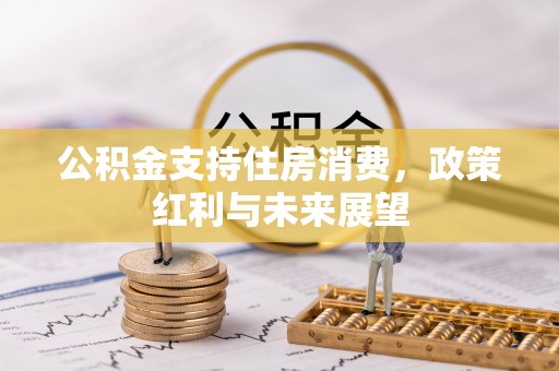 连江公积金支持住房消费，政策红利与未来展望