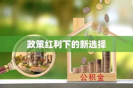 连江政策红利下的新选择
