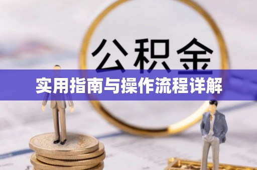 连江实用指南与操作流程详解