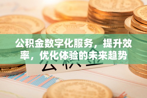 连江公积金数字化服务，提升效率，优化体验的未来趋势