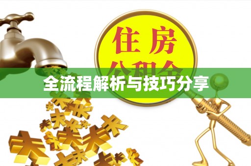 连江全流程解析与技巧分享